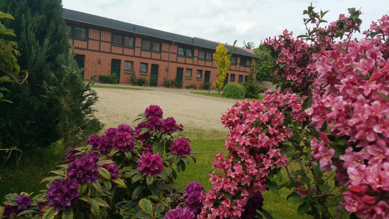 Landferienhof "Mueritzufer" Ludorf Bagian luar foto